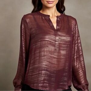 Simply Styled dark purple V-neck semi sheer long sleeve pullover blouse